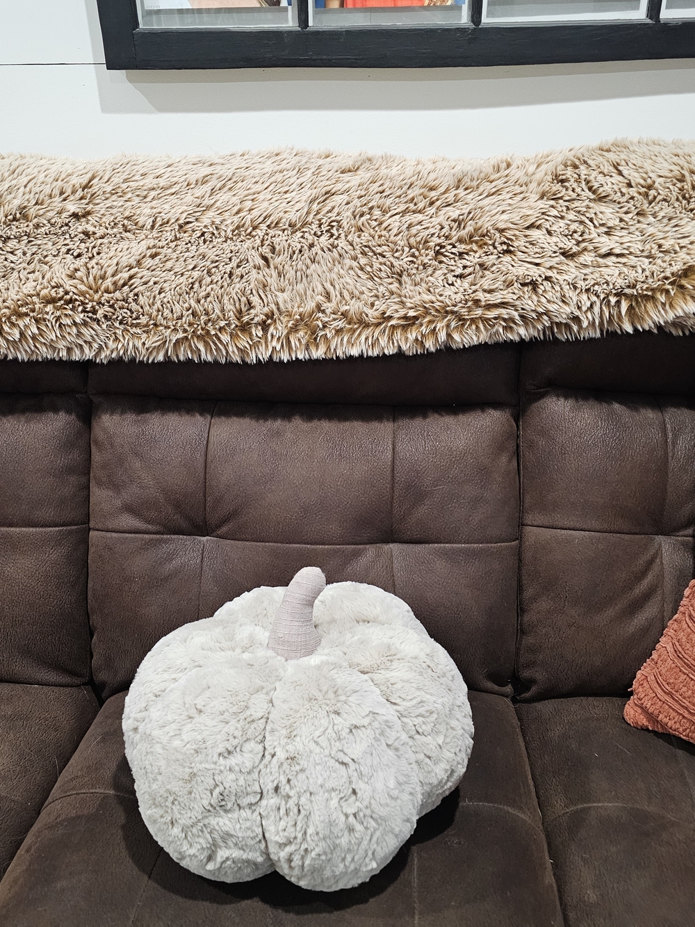 Fluffy Throw Blanket